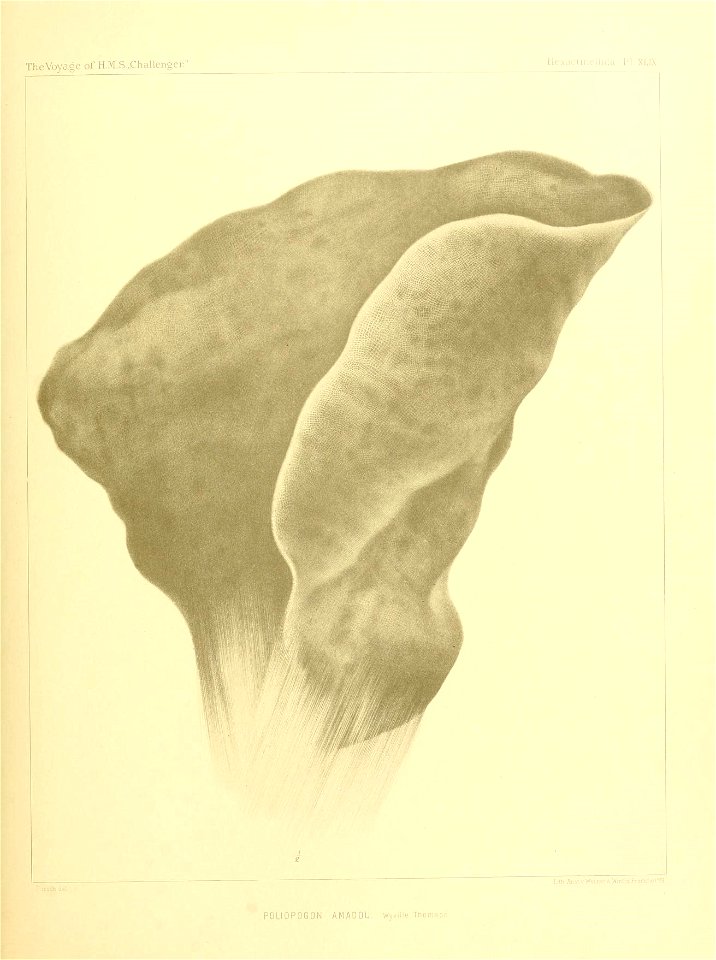 n206_w1150