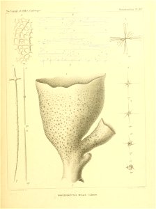 n266_w1150