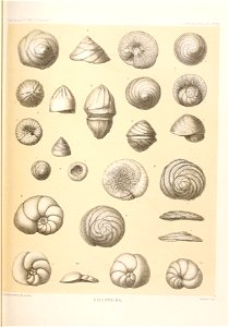 n368_w1150
