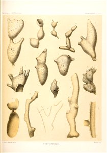 n116_w1150