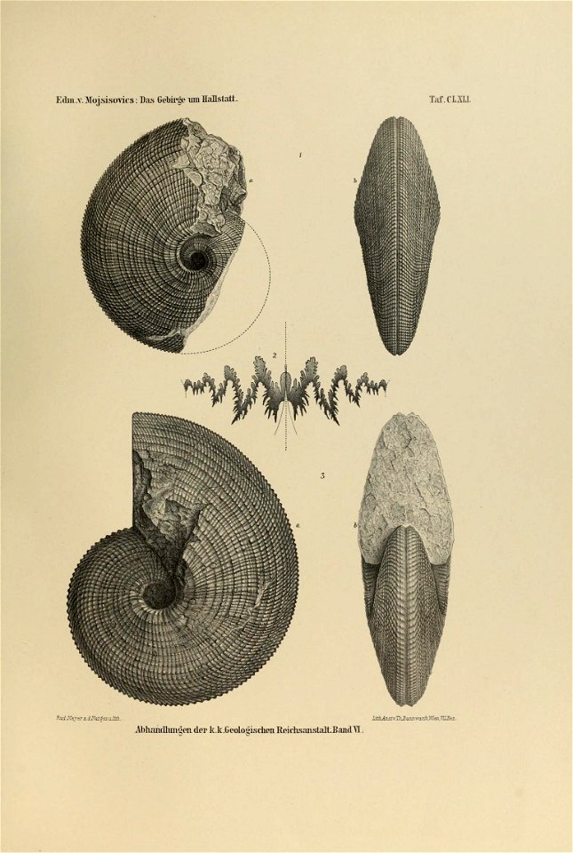 n494_w1150