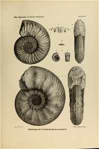 n314_w1150