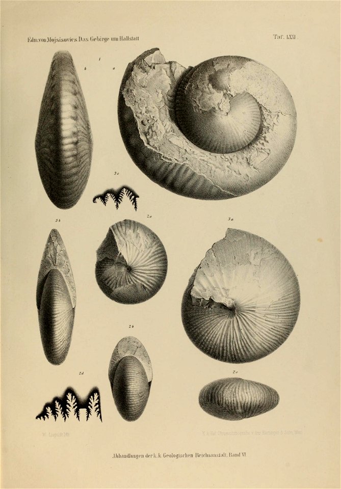 n12_w1150