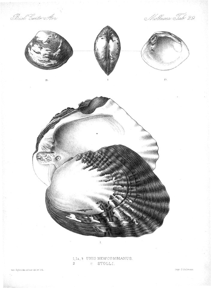 n766_w1150