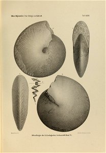 n54_w1150
