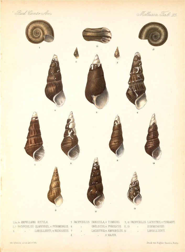 n758_w1150