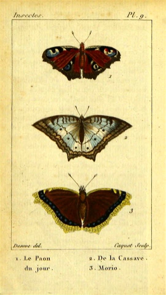 n67_w1150