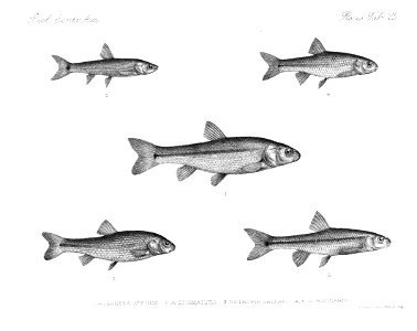 n292_w1150