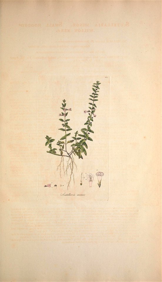 n176_w1150