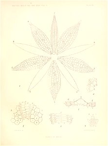 n184_w1150