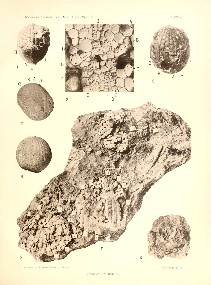 n120_w1150