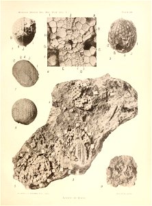 n120_w1150