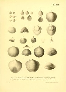 n54_w1150