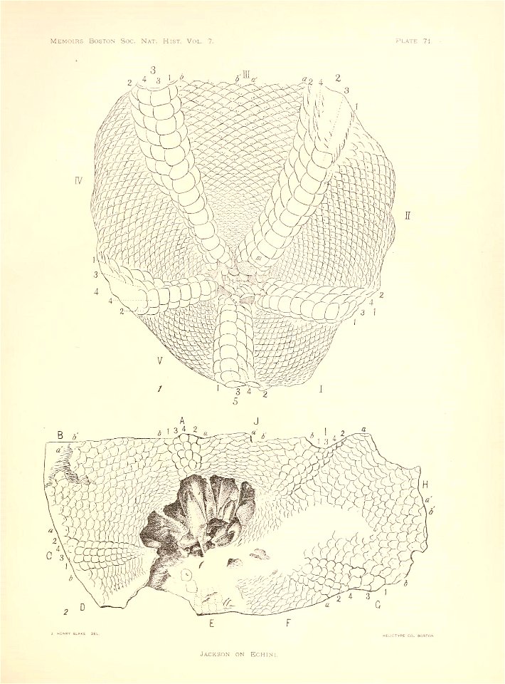 n288_w1150