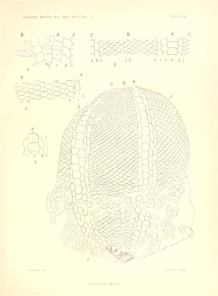 n284_w1150
