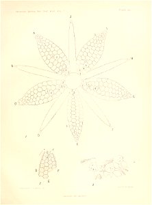 n164_w1150