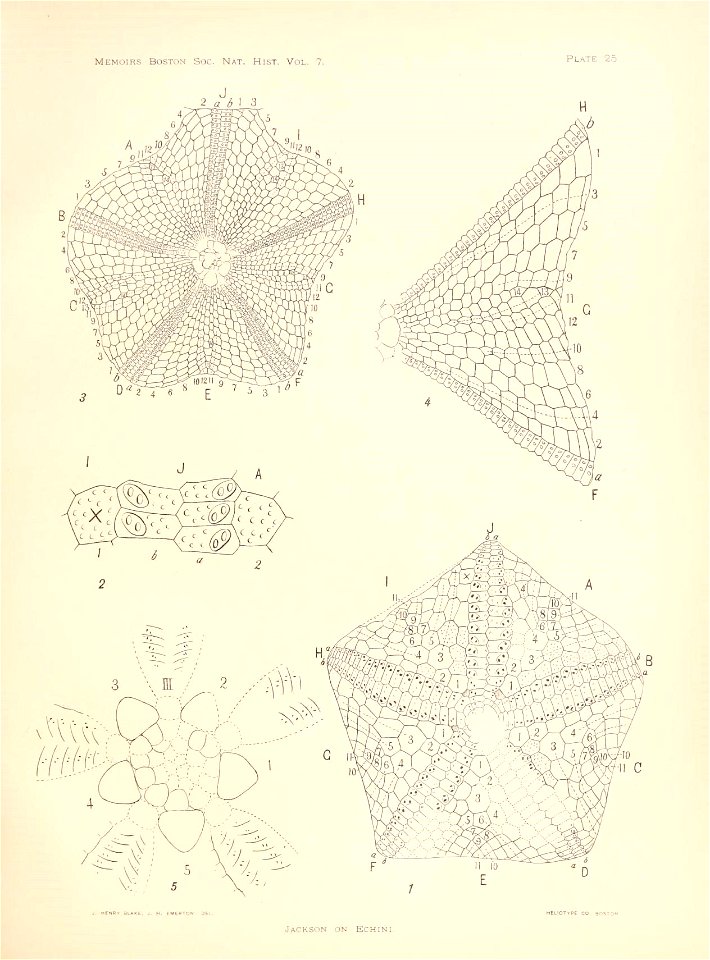 n104_w1150