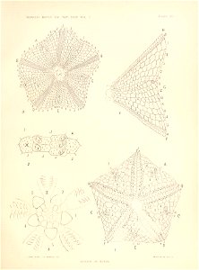 n104_w1150