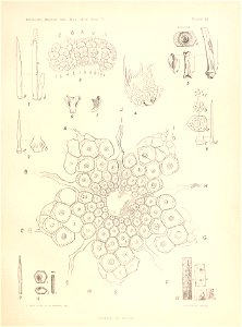 n44_w1150