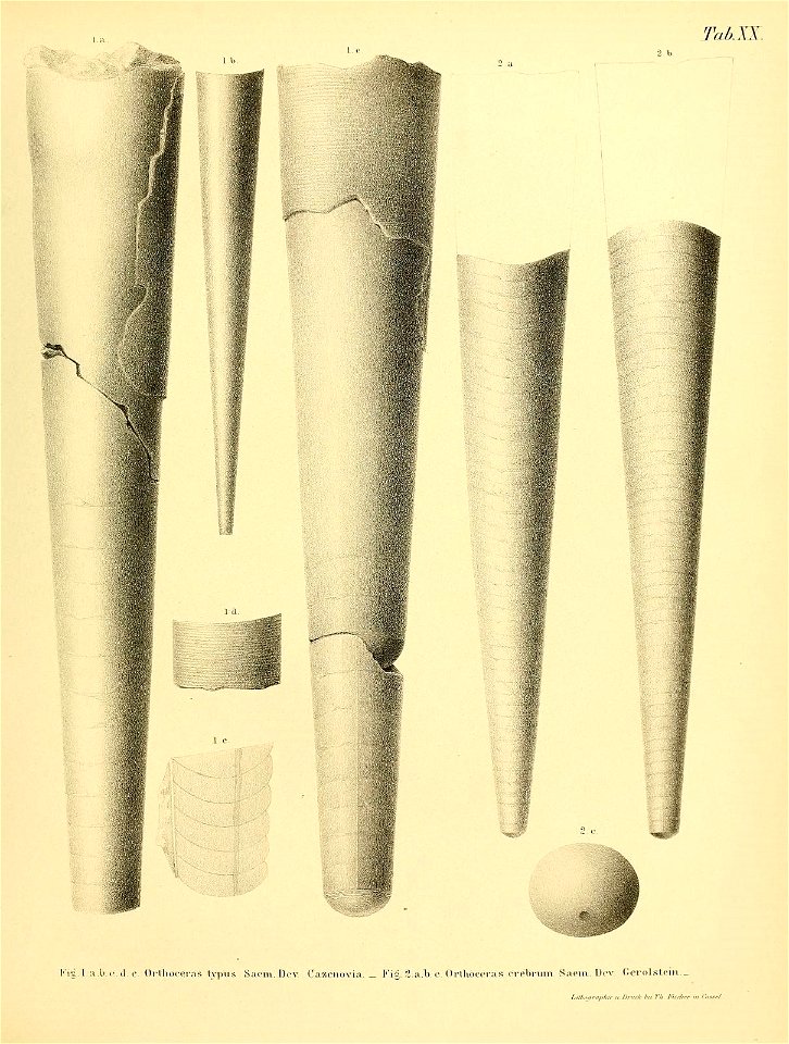 n46_w1150