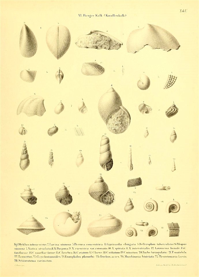 n16_w1150