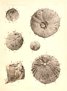 n160_w1150