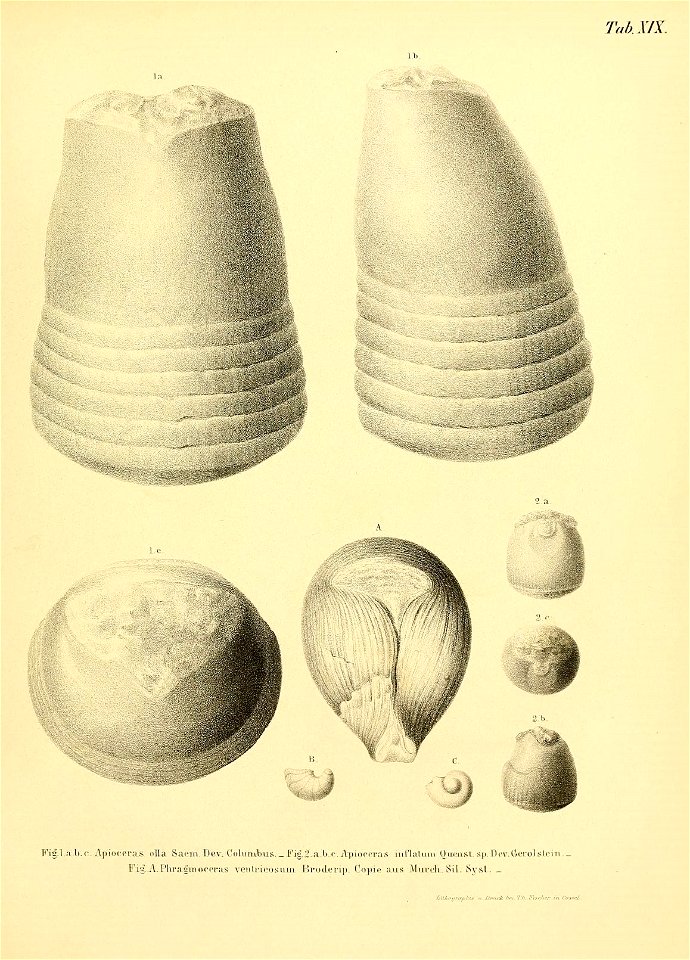 n44_w1150