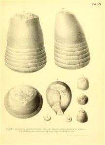 n44_w1150