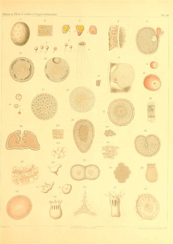 n158_w1150