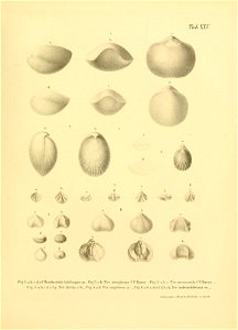 n56_w1150