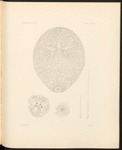 n406_w1150