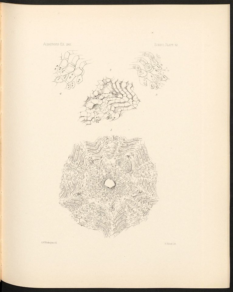 n226_w1150