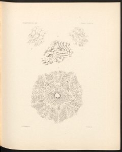 n226_w1150