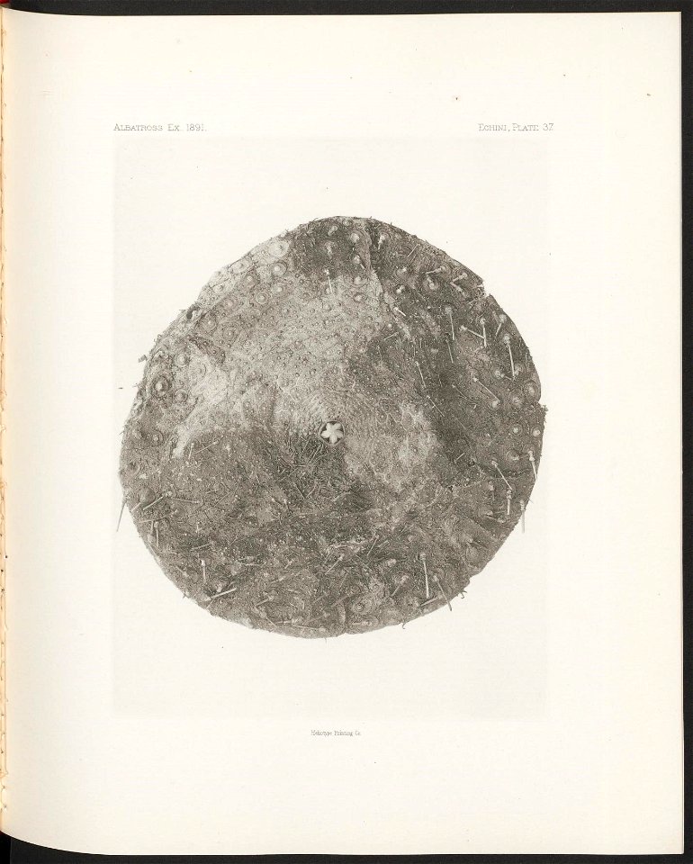n166_w1150