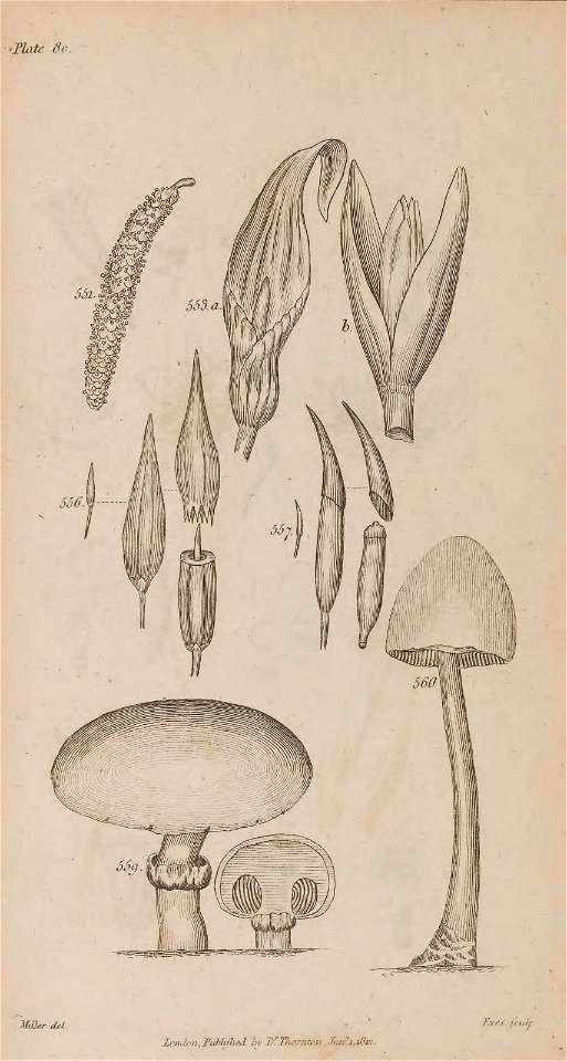 n412_w1150