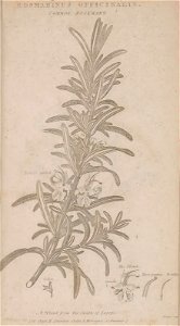 n128_w1150