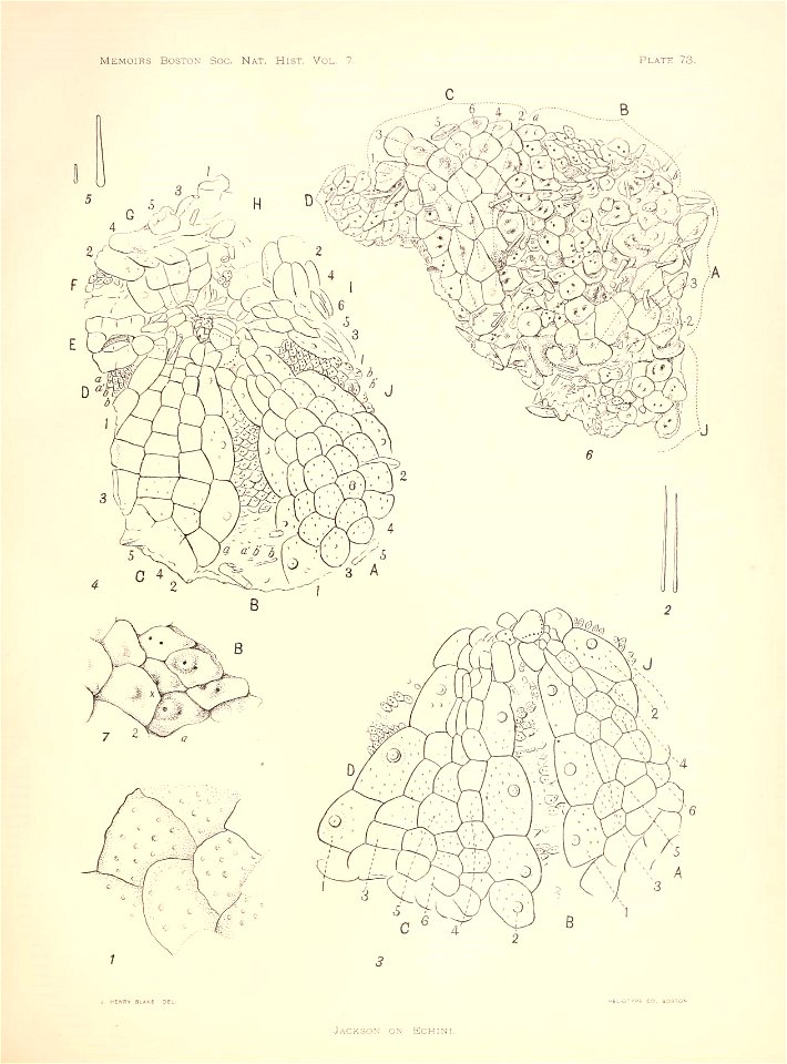 n296_w1150