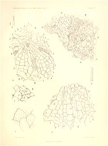 n296_w1150