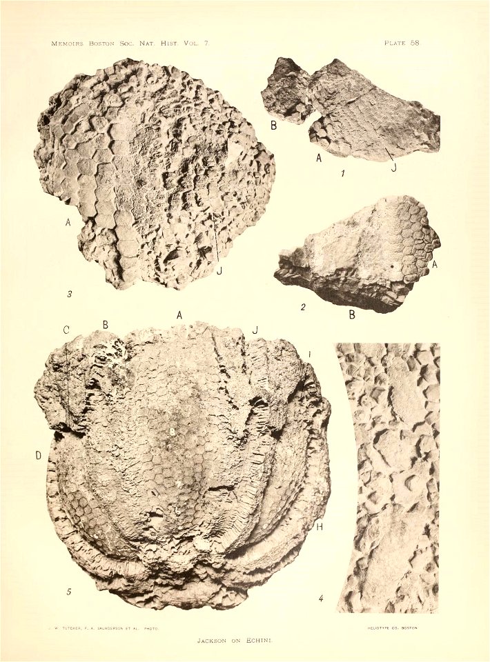 n236_w1150
