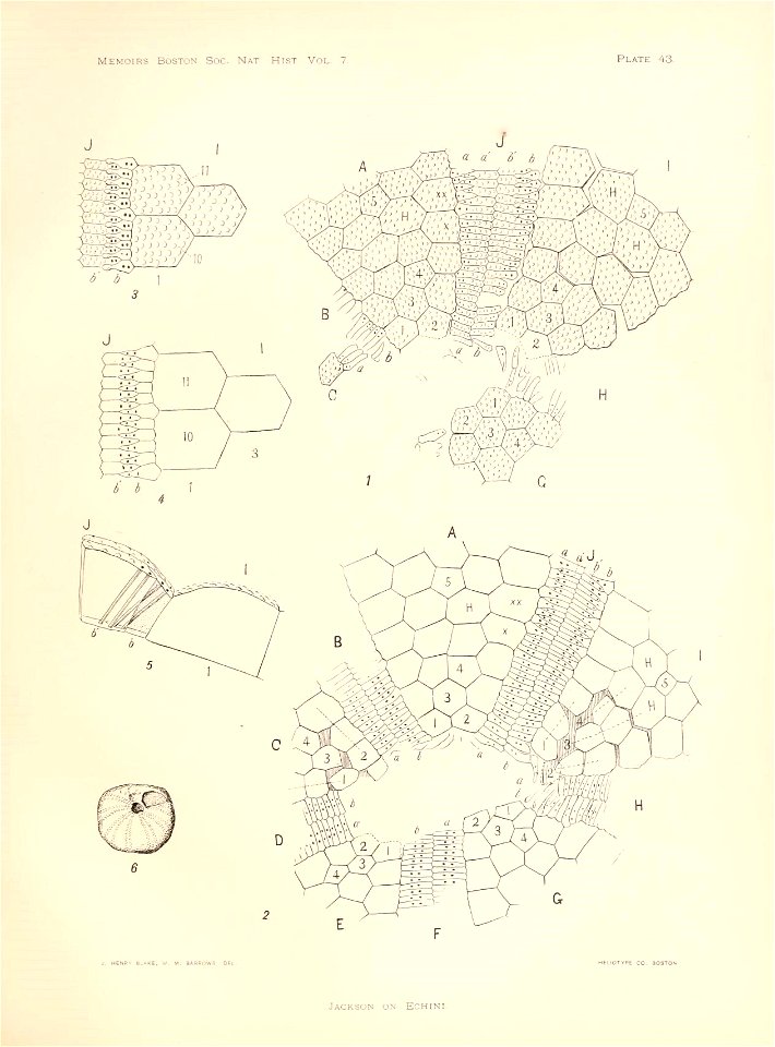 n176_w1150