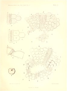 n176_w1150
