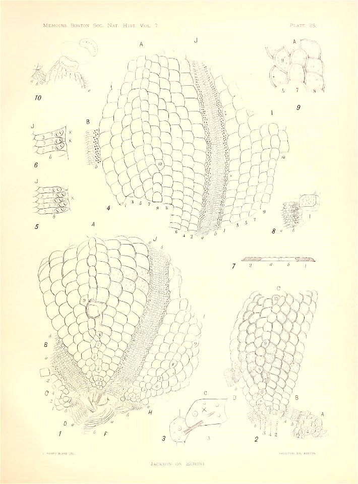 n116_w1150