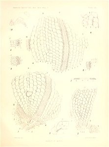 n116_w1150