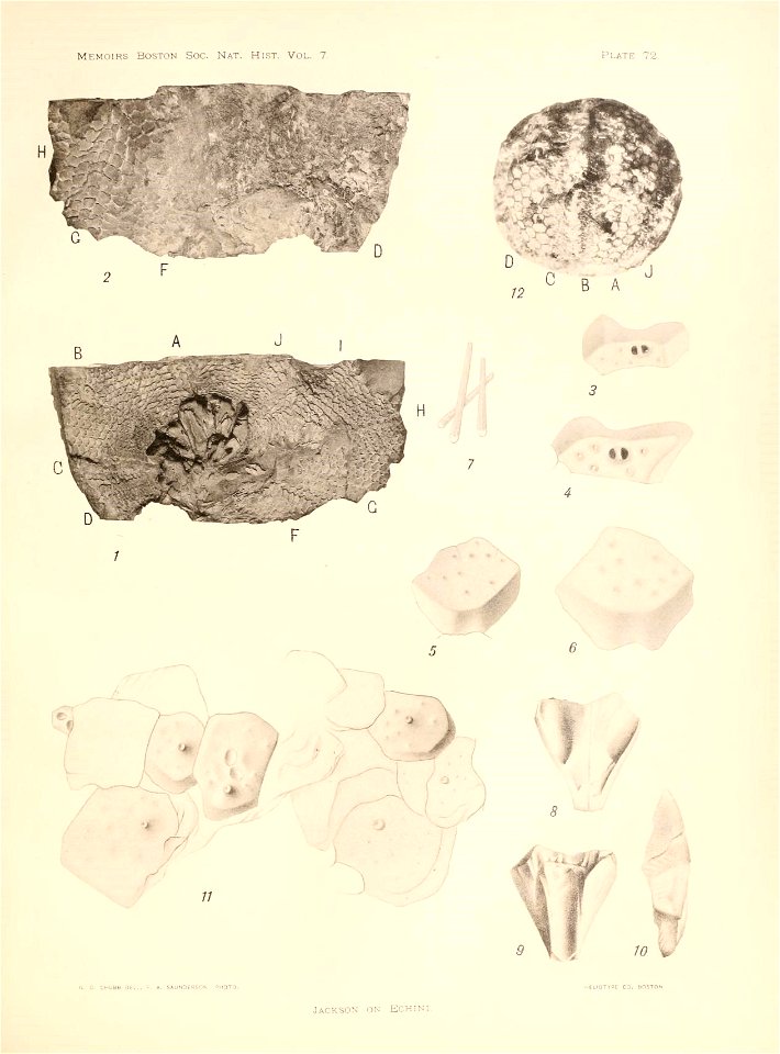 n292_w1150