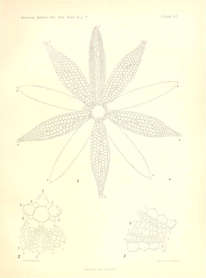 n232_w1150