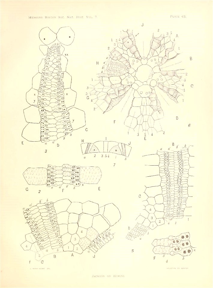 n172_w1150