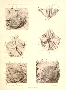 n112_w1150