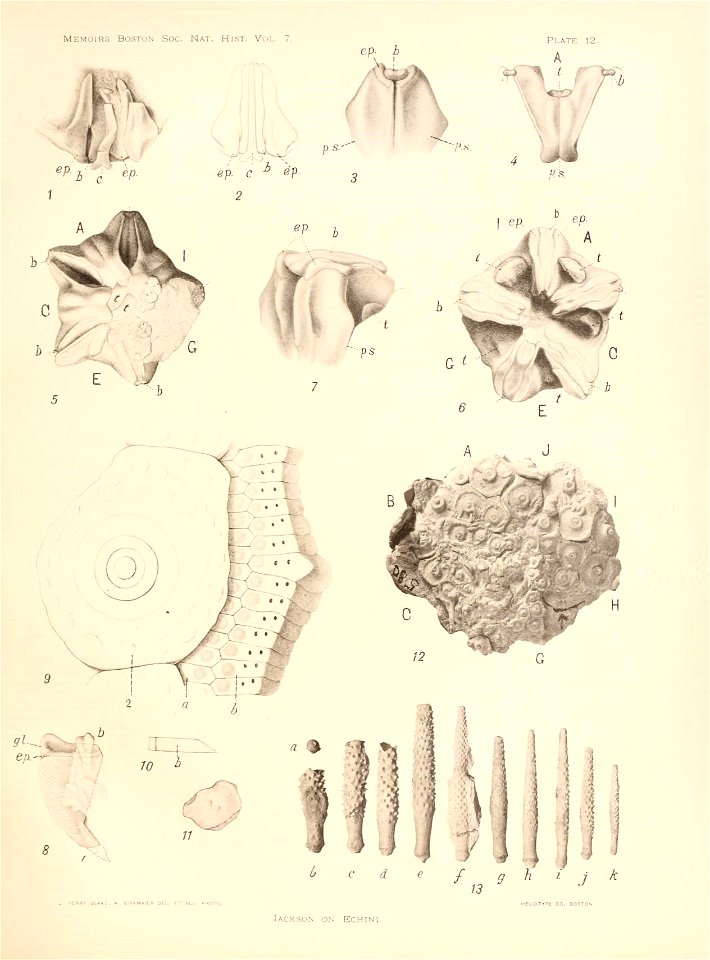 n52_w1150
