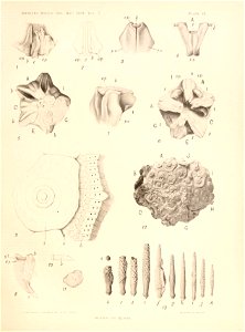 n52_w1150