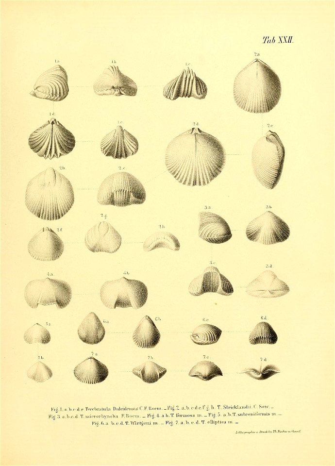 n50_w1150
